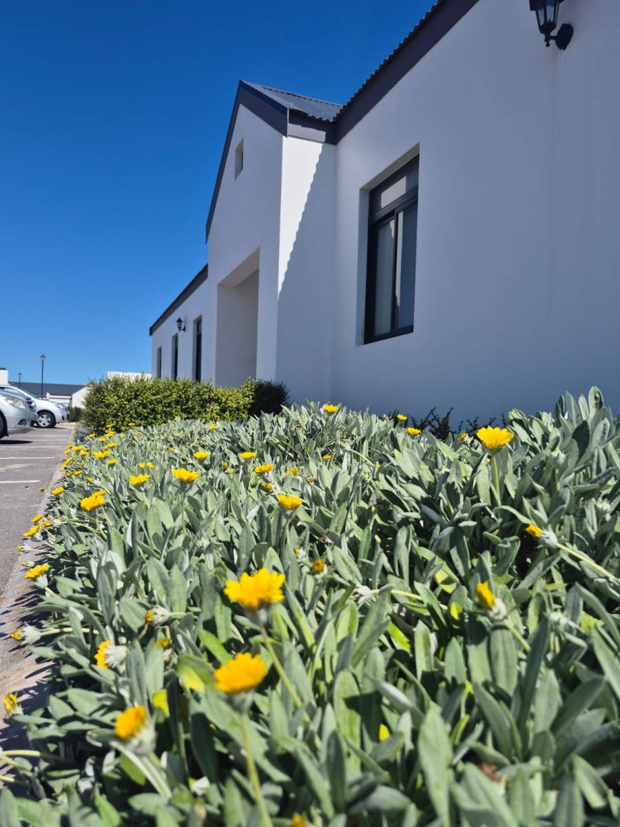 1 Bedroom Property for Sale in Laguna Western Cape